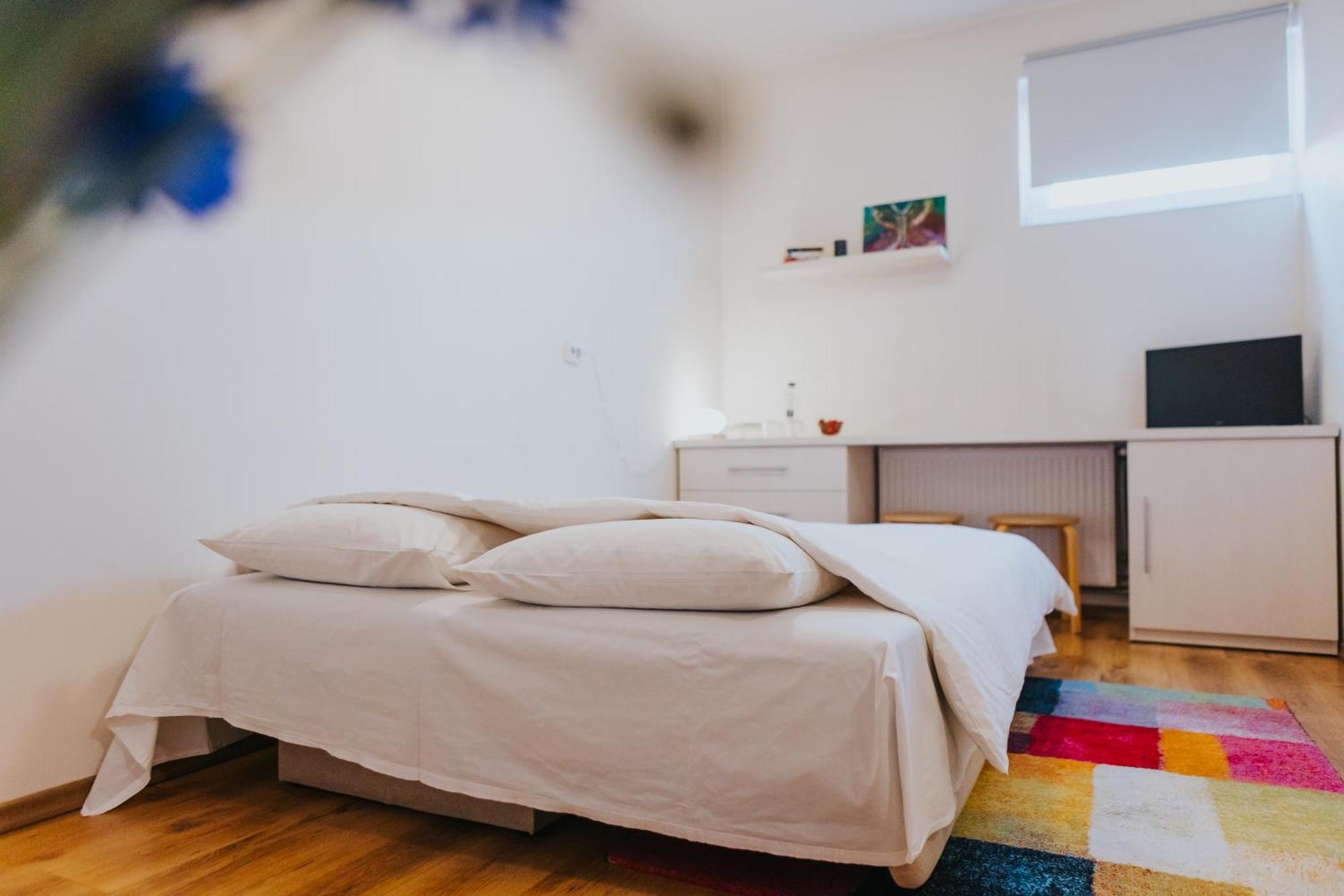 Camelia'S Cozy Place Baia Mare Luaran gambar