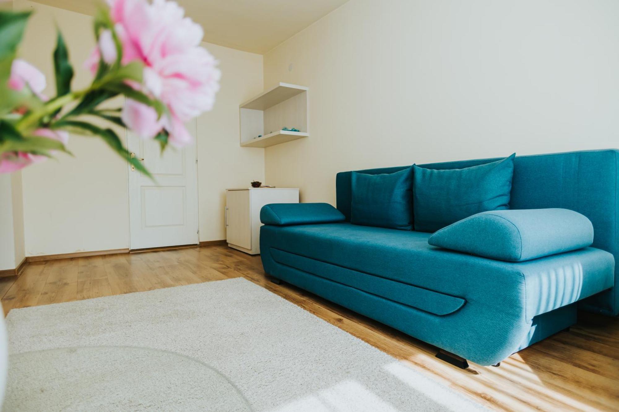 Camelia'S Cozy Place Baia Mare Luaran gambar